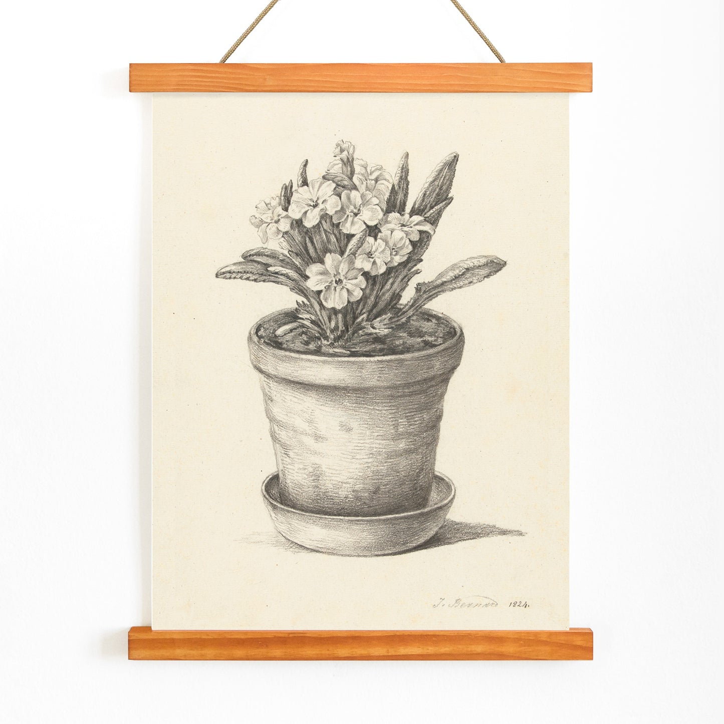 Black and white pencil drawing poster of a flowering plant in a clay pot titled Potplant by Jean Bernard, with wooden magnetic frame on white background