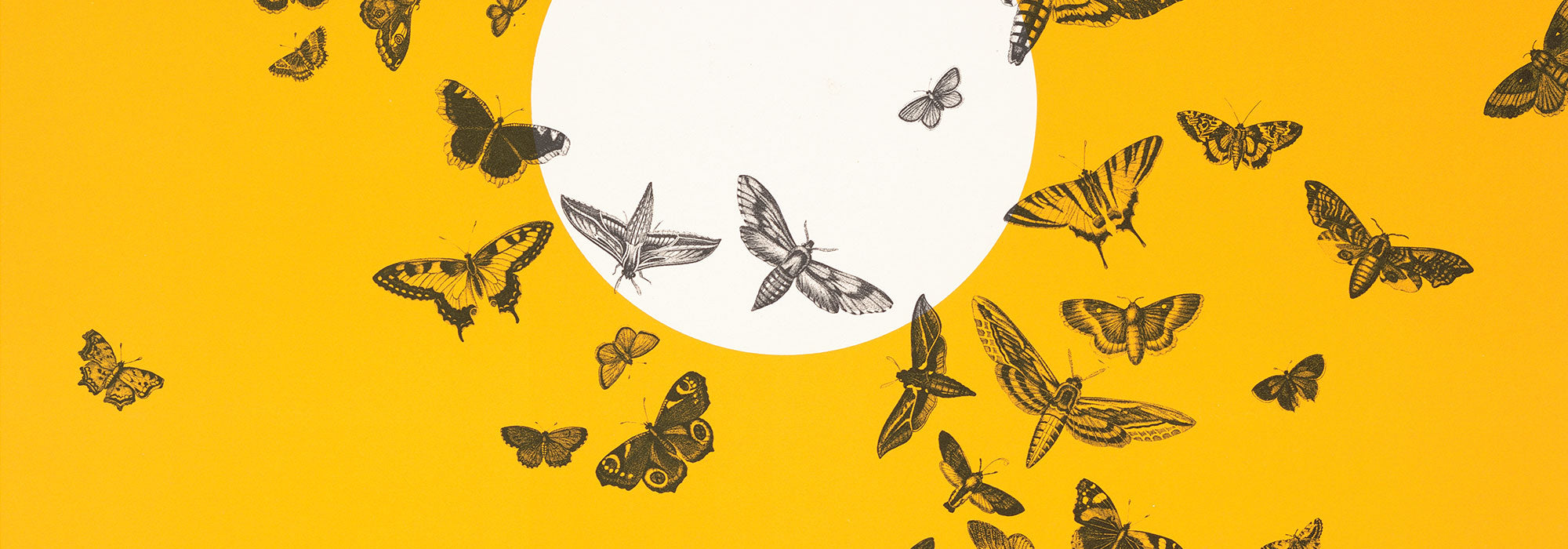 Yellow poster collection featuring bold designs and cheerful shades, perfect for brightening home or office walls and adding warmth and energy.