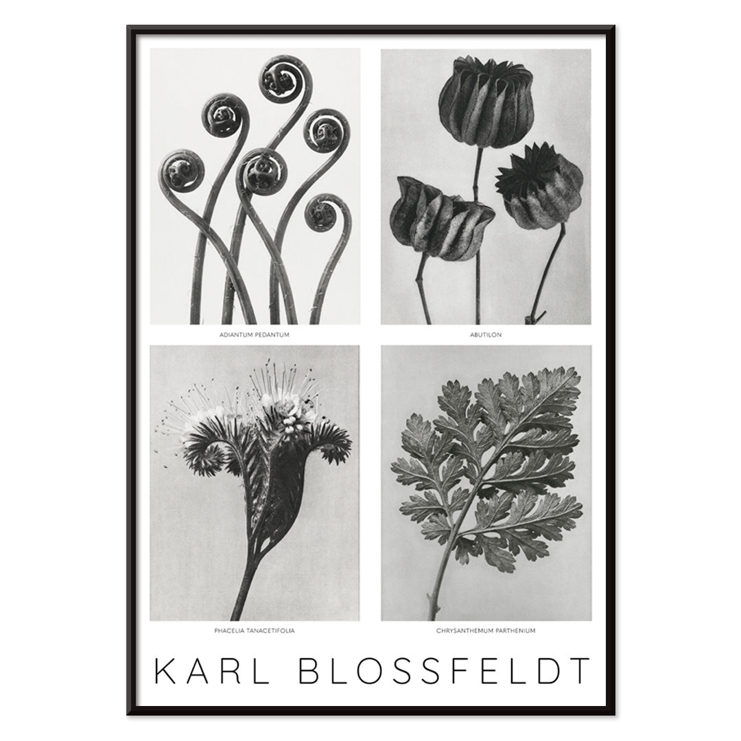 , with black aluminium frame on white background