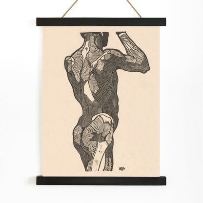 Anatomical illustration of human glute muscles from the back artwork by Reijer Stolk titled Glute Muscles detailed muscle study poster, with wooden magnetic frame on white background