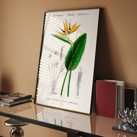 Colorful floral bouquet illustration and detailed still life poster by Herman Henstenburgh for home decor, framed and displayed in home decor
