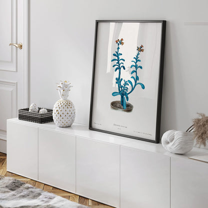 Closeup detail of Botanical illustration poster of blue echeveria titled Brown sugar echeveria from Familie Der Cacteen by Echeveria racemosa