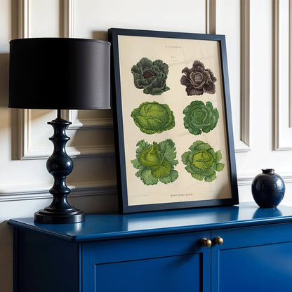 Cabbage illustrations in green and purple by Ernst Benary from artwork Cabbages poster, framed and displayed in modern living room decor