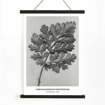 , with wooden magnetic frame on white background