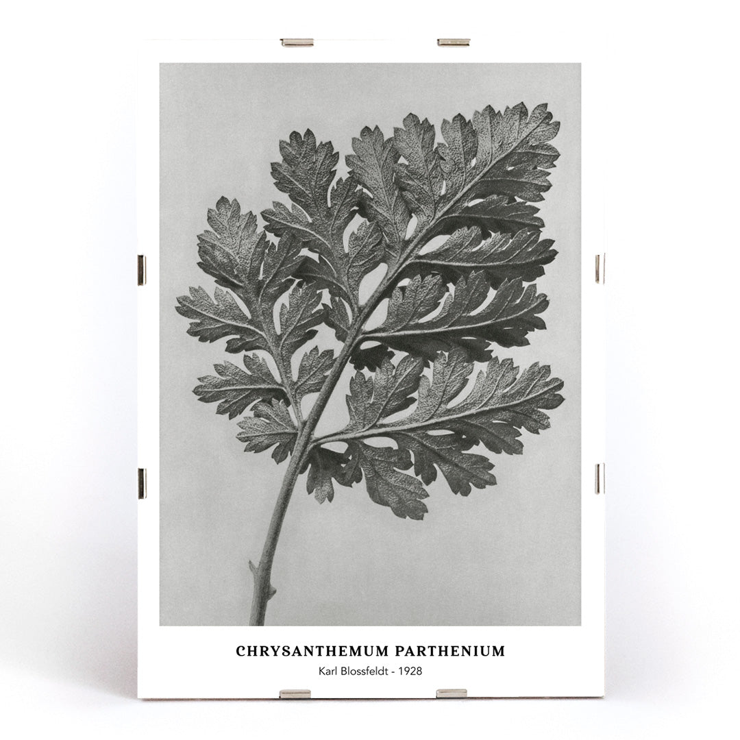 , framed and displayed in modern living room decor