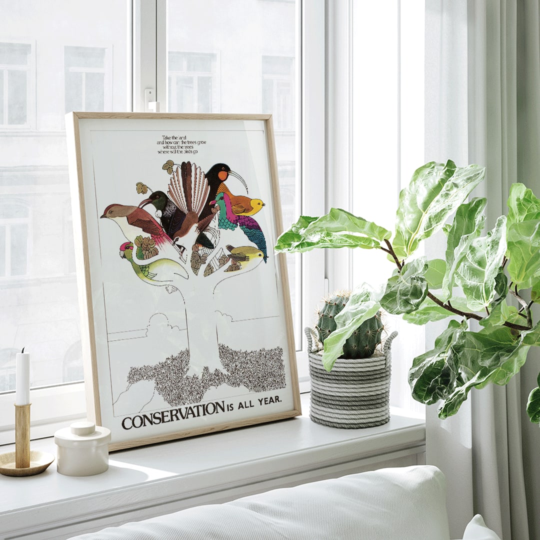 , framed and displayed in home decor