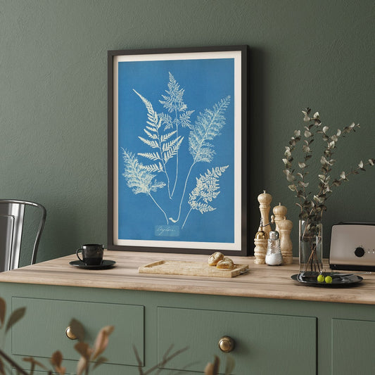 Botanical cyanotype art print titled Ceylon by Anna Atkins featuring delicate white fern leaves on a blue background, framed and displayed in home decor