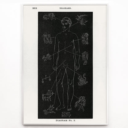Closeup detail of Human body diagram with astrological zodiac symbols and body part connections from Solar Biology by Hiram Erastus Butler