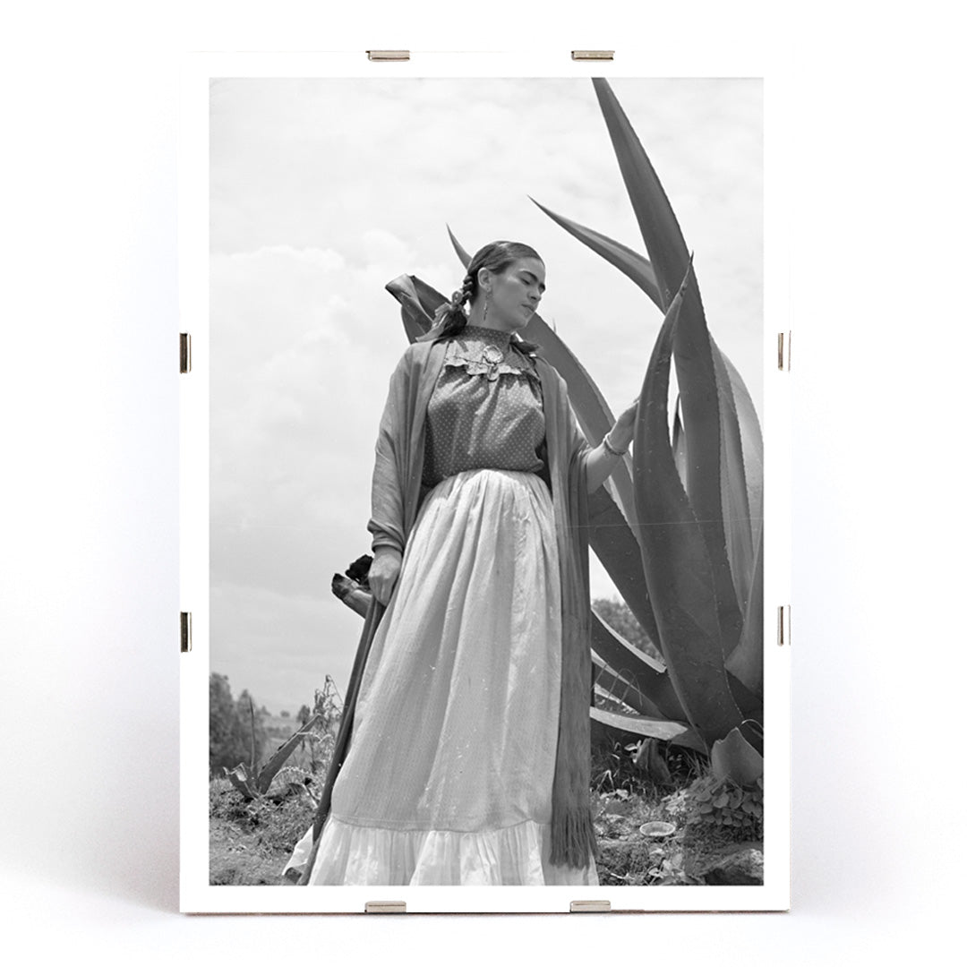 Frida Kahlo standing by agave plant black and white photograph and poster by Toni Frissell titled Senora Diego Rivera, framed and displayed in modern living room decor