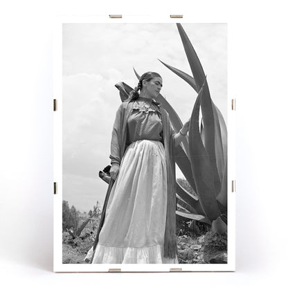 Frida Kahlo standing by agave plant black and white photograph and poster by Toni Frissell titled Senora Diego Rivera, framed and displayed in modern living room decor