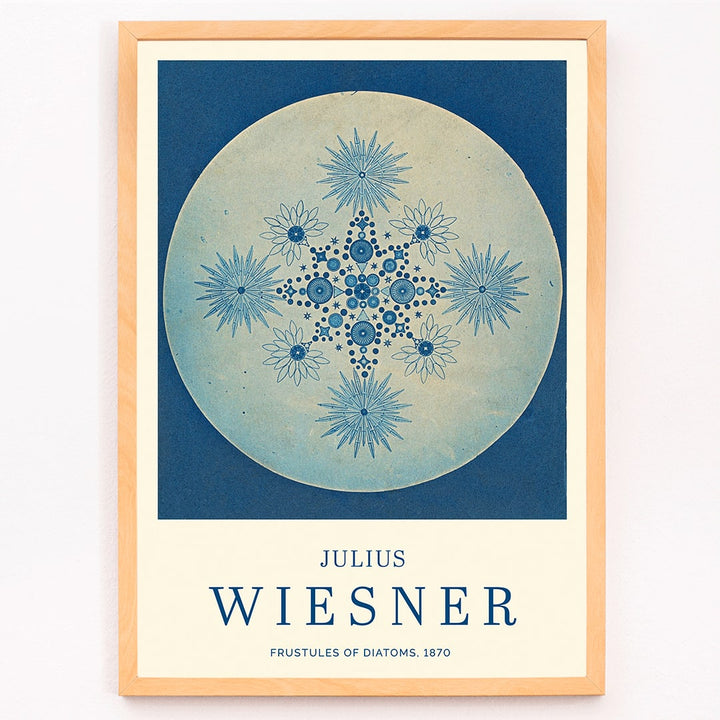 Frustules of Diatoms cyanotype artwork and poster by Julius Wiesner featuring intricate blue diatom designs on a circular background, framed and displayed in modern living room decor