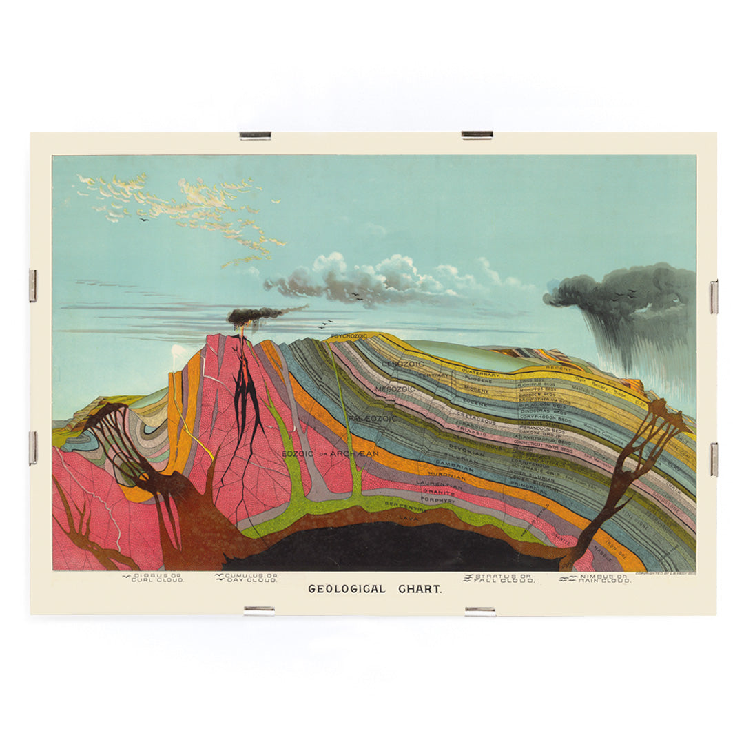 , framed and displayed in modern living room decor