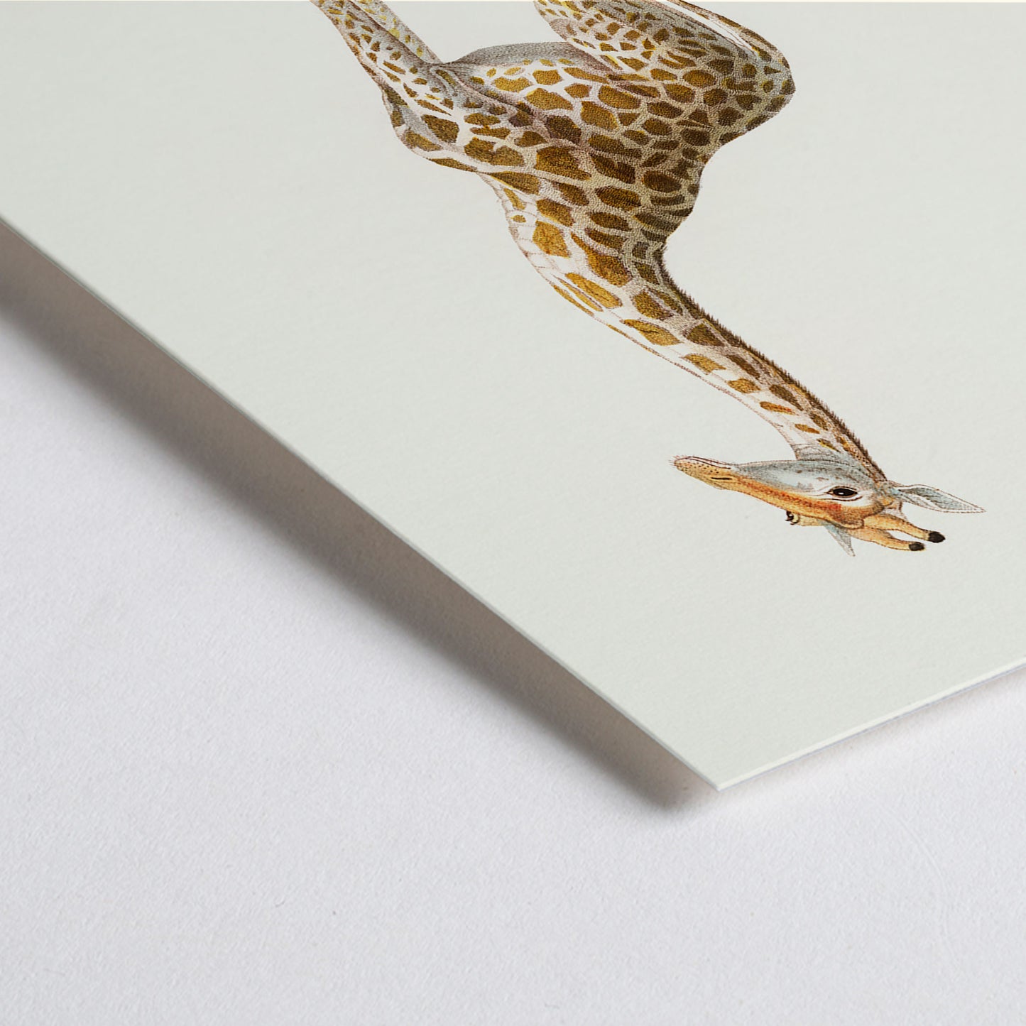 Closeup detail of Minimalist poster of a detailed giraffe illustration from La Giraffe artwork by Florent Prevos