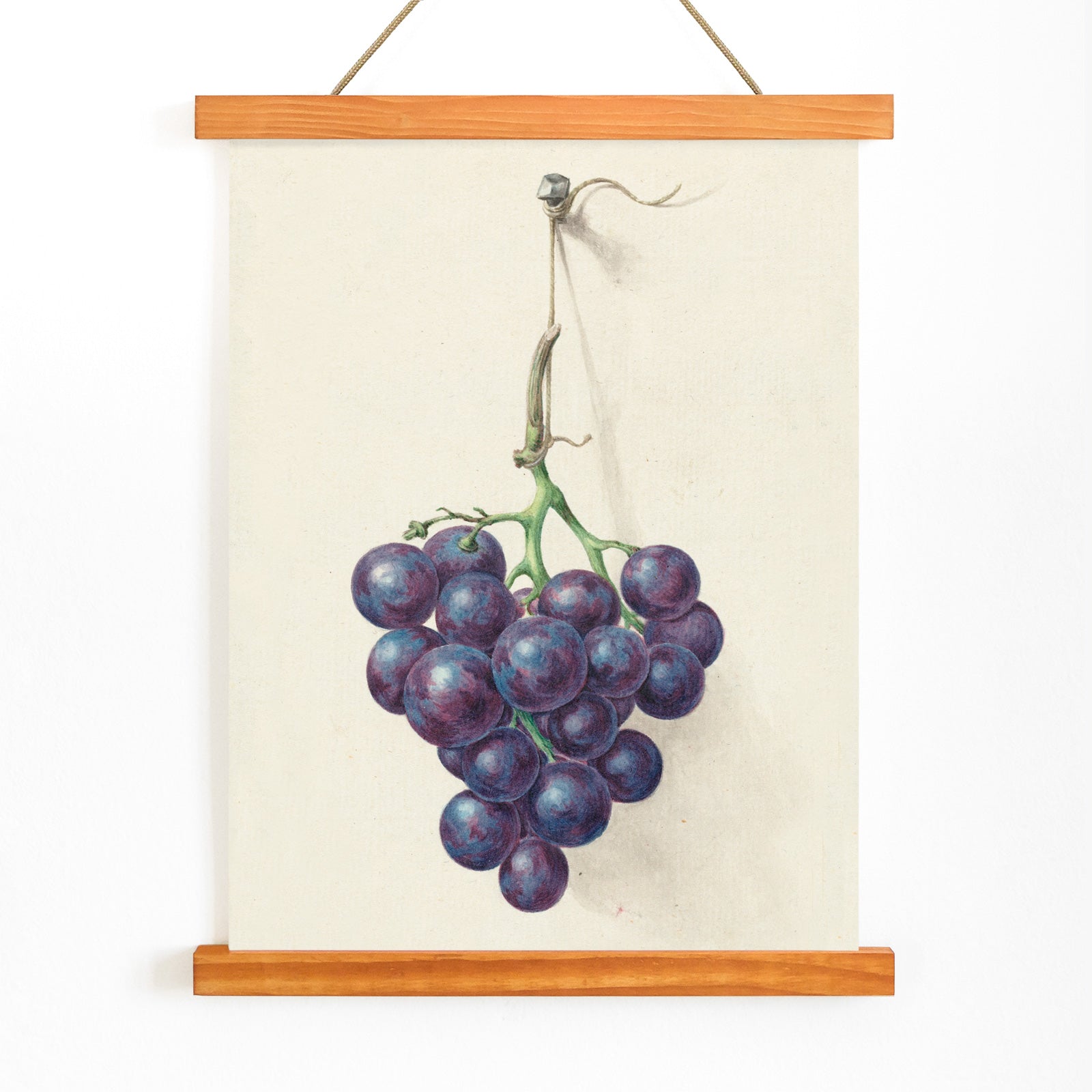 Realistic painting and poster of a bunch of blue grapes on a vine by Jean Bernard with light background, with wooden magnetic frame on white background