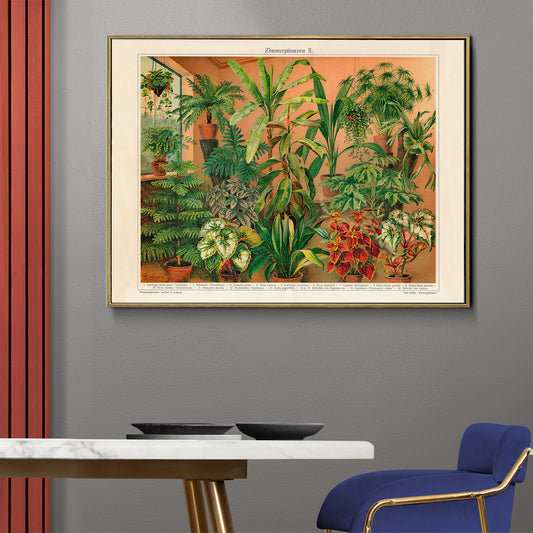 Colorful indoor foliage and potted green plants poster titled House Plants II by Institute of Liepzig featuring various house plants in pots against a warm background, framed and displayed in home decor