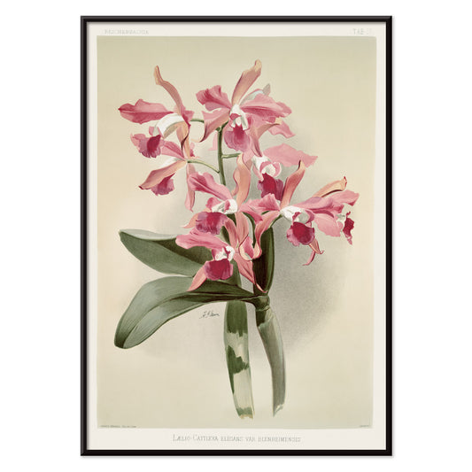 , with black aluminium frame on white background