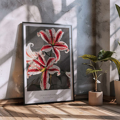 Hand colored collotype of lily flowers by Kazumasa Ogawa from Some Japanese Flowers poster, framed and displayed in modern living room decor
