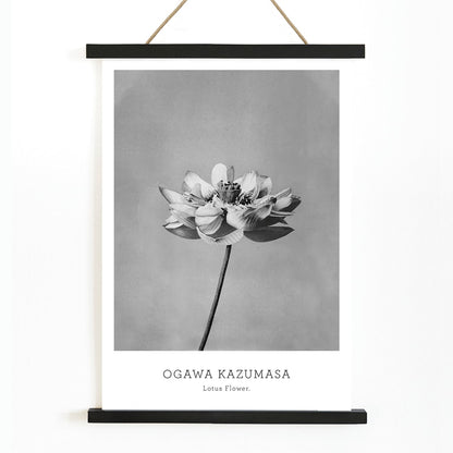 Monochrome lotus flower photography artwork by Ogawa Kazumasa minimal botanical wall art poster, with wooden magnetic frame on white background