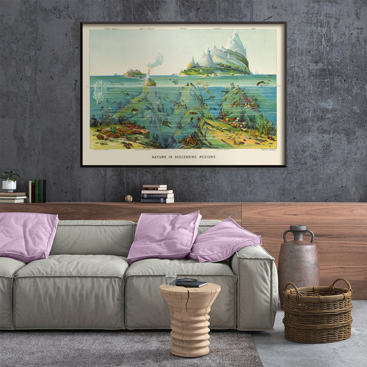 , framed and displayed in home decor