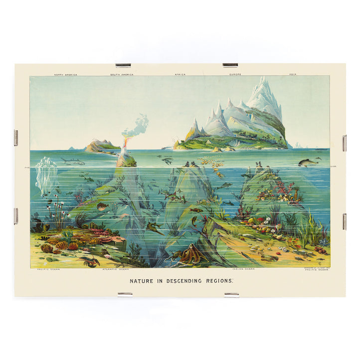 , framed and displayed in modern living room decor