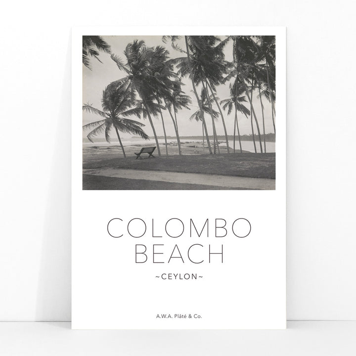 Colombo Beach Ceylon poster with palm trees and empty bench artwork by AWA Plate and Co ideal for wall decor and travel themes, framed and displayed in modern living room decor