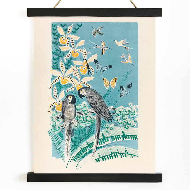 Colorful parrots butterflies and birds in a lush tropical garden illustration from Douze contes de Paris et de Provence by Paul Arène, with wooden magnetic frame on white background