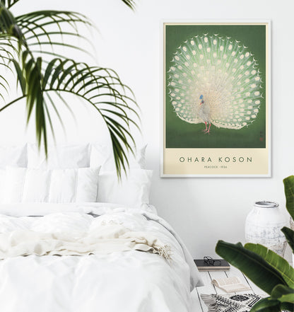 Elegant white peacock with full plumage on green background artwork by Ohara Koson poster, framed and displayed in home decor