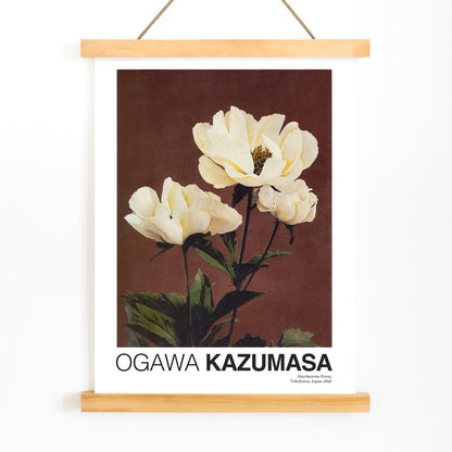 White peony flowers on brown and dark backgrounds from Haerdaceous Peony artwork by Kazumasa Ogawa poster, with wooden magnetic frame on white background