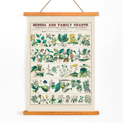 , with wooden magnetic frame on white background