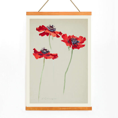 Three Studies of Poppies by Sophia Crownfield poster featuring vibrant red poppies on delicate stems and a light background artwork, with wooden magnetic frame on white background