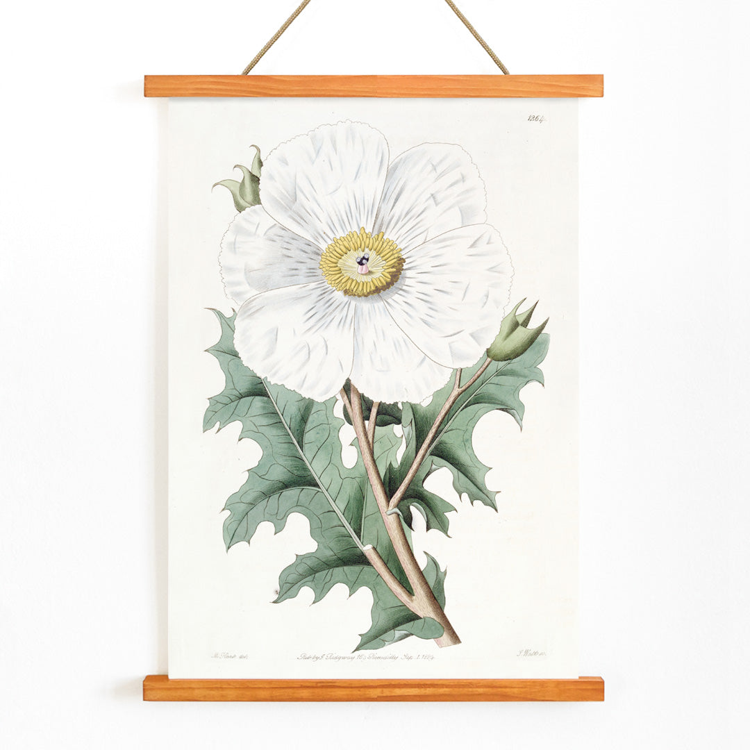 , with wooden magnetic frame on white background