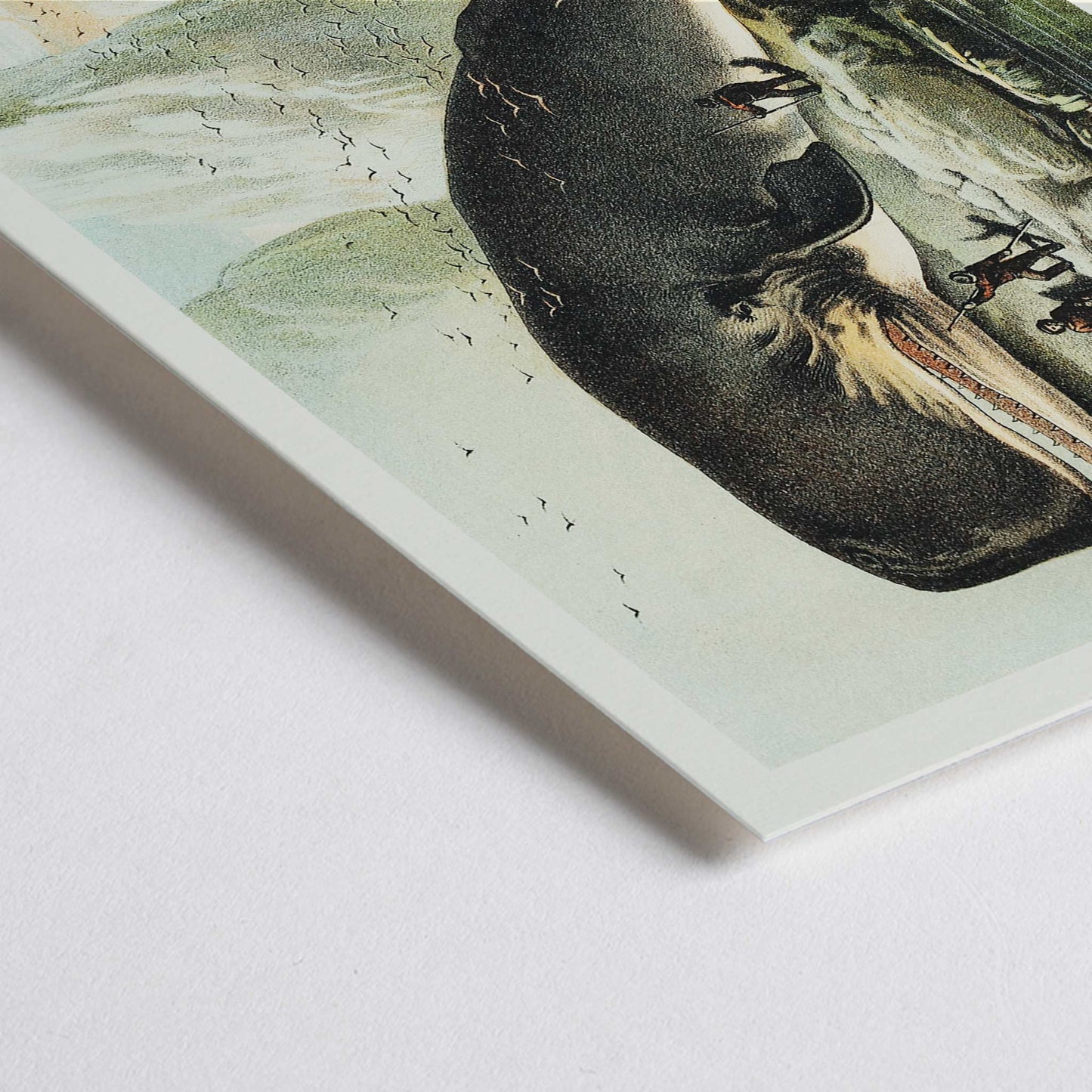 Closeup detail of Sperm whale stranded on rocky shore with people and icy cliffs by John Karst from Johnsons household book of nature poster