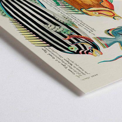 Closeup detail of Colourful surreal illustrations of Moluccas and East Indies fishes by Louis Renard from Histoire naturelle des plus rares curiositez de la mer des Indes vibrant aquatic life poster