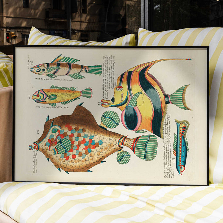 Colourful surreal fish illustrations by Louis Renard from Histoire naturelle des plus rares curiositez de la mer des Indes poster, framed and displayed in modern living room decor