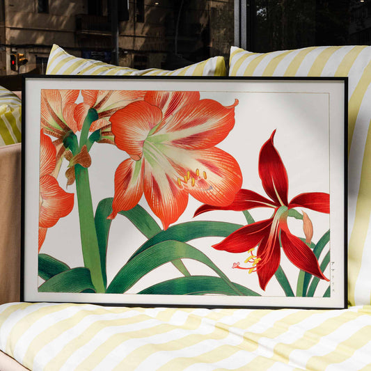 Amaryllis flower painting and botanical poster by Tanigami Konan featuring vibrant red and green hues detailed illustration, framed and displayed in home decor