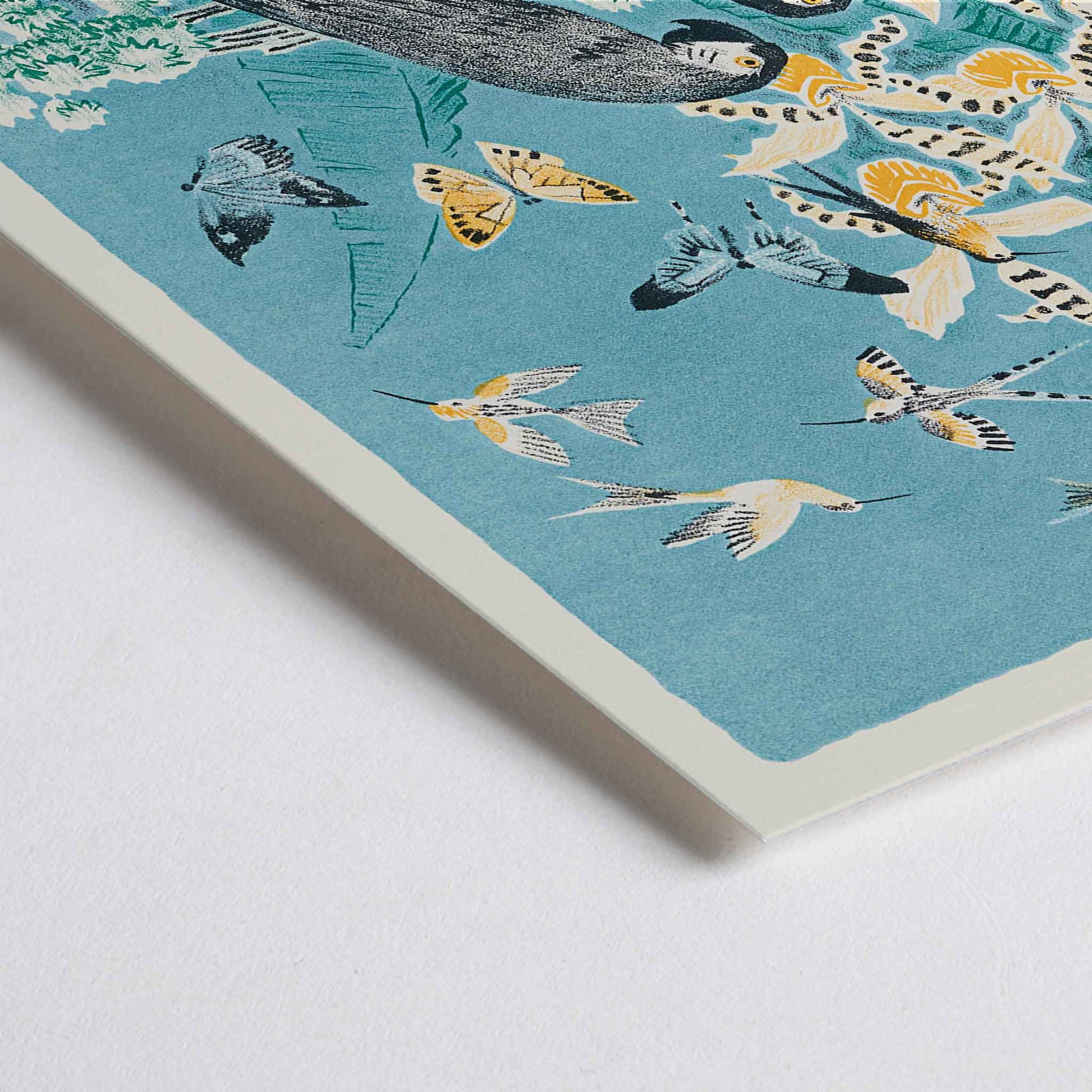 Closeup detail of Colorful parrots butterflies and birds in a lush tropical garden illustration from Douze contes de Paris et de Provence by Paul Arène