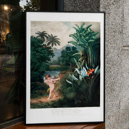 Cupid aiming a bow among lush tropical plants artwork by Robert John Thornton The Temple of Flora poster, framed and displayed in home decor