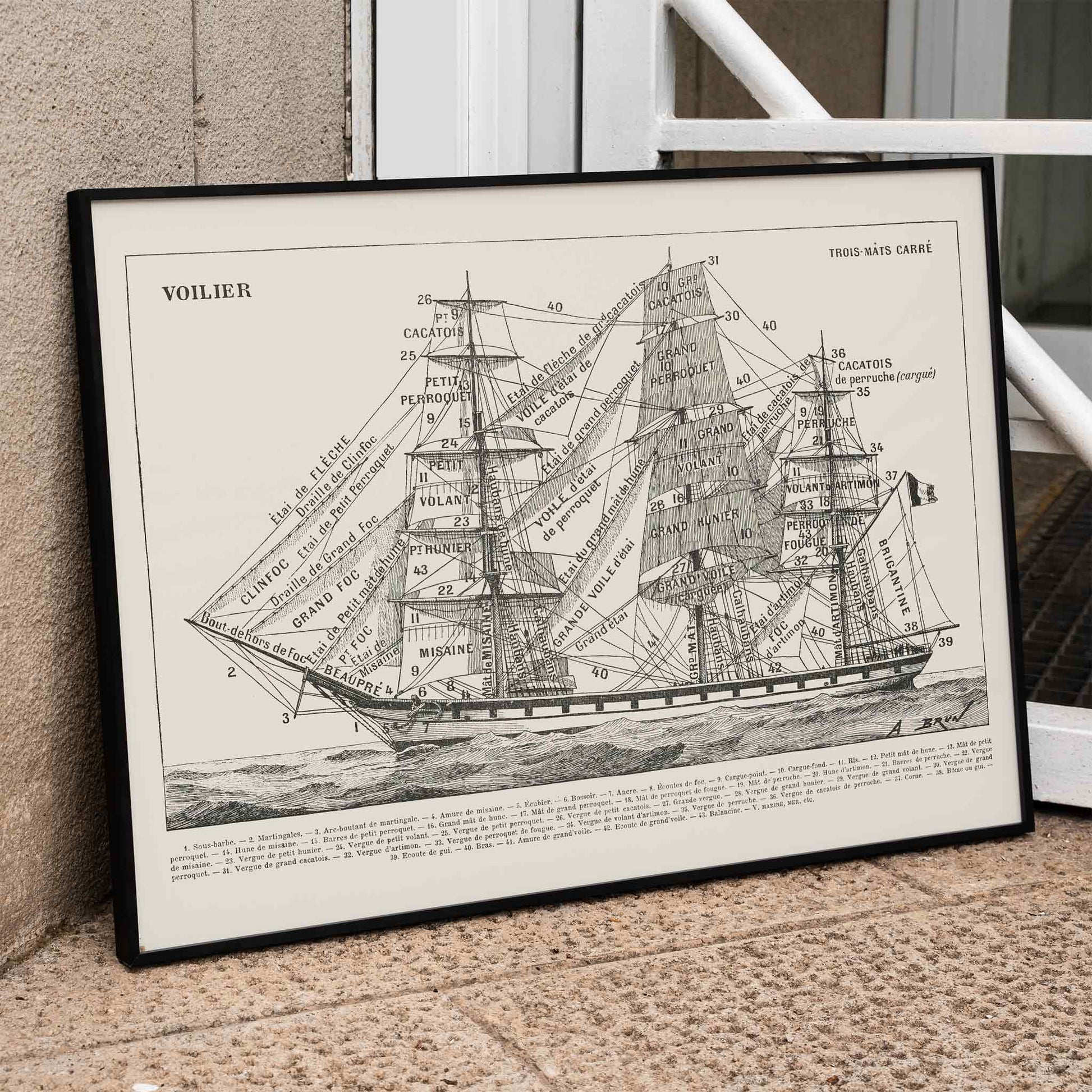 Detailed illustration and labeled poster of a sailing ship by Claude Auge titled Voilier from Le Larousse pour tous, framed and displayed in home decor