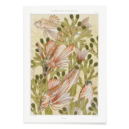 Poster of colorful red mullet fish swimming among green algae titled Red mullet and Algae by Maurice Pillard Verneuil, with black aluminium frame on white background