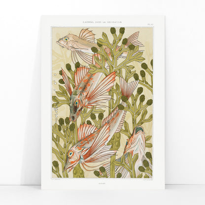 Poster of colorful red mullet fish swimming among green algae titled Red mullet and Algae by Maurice Pillard Verneuil, framed and displayed in modern living room decor