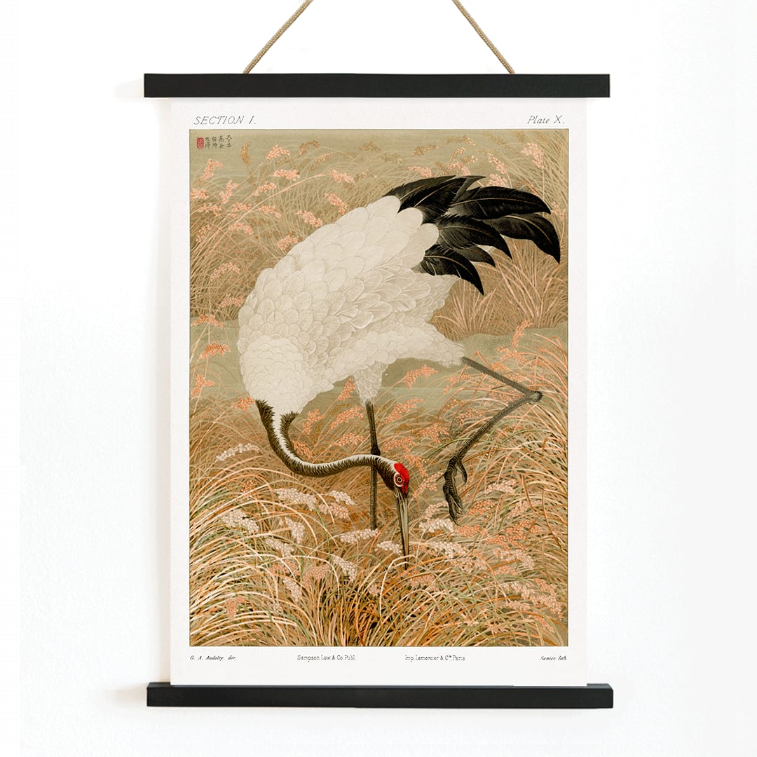 Sarus crane standing in a rice field artwork by Samarai and The Ornamental Arts Of Japan, with wooden magnetic frame on white background