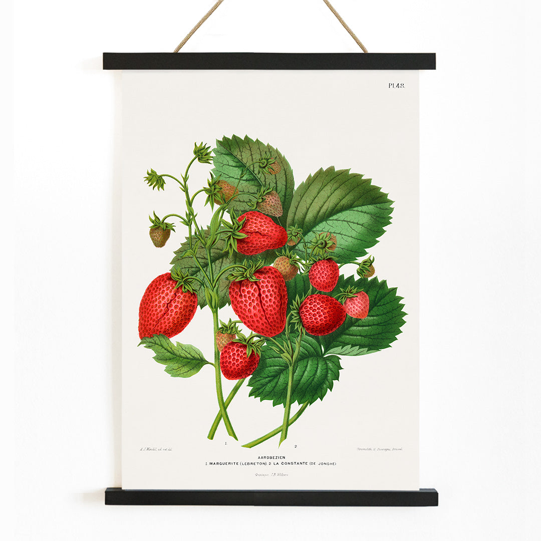 , with wooden magnetic frame on white background