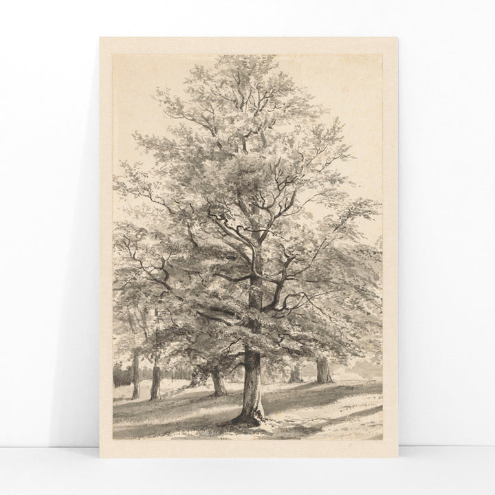 Detailed drawing of a large tree in a sunlit natural landscape titled Big Tree by Cornelis Steffelaar poster, framed and displayed in modern living room decor