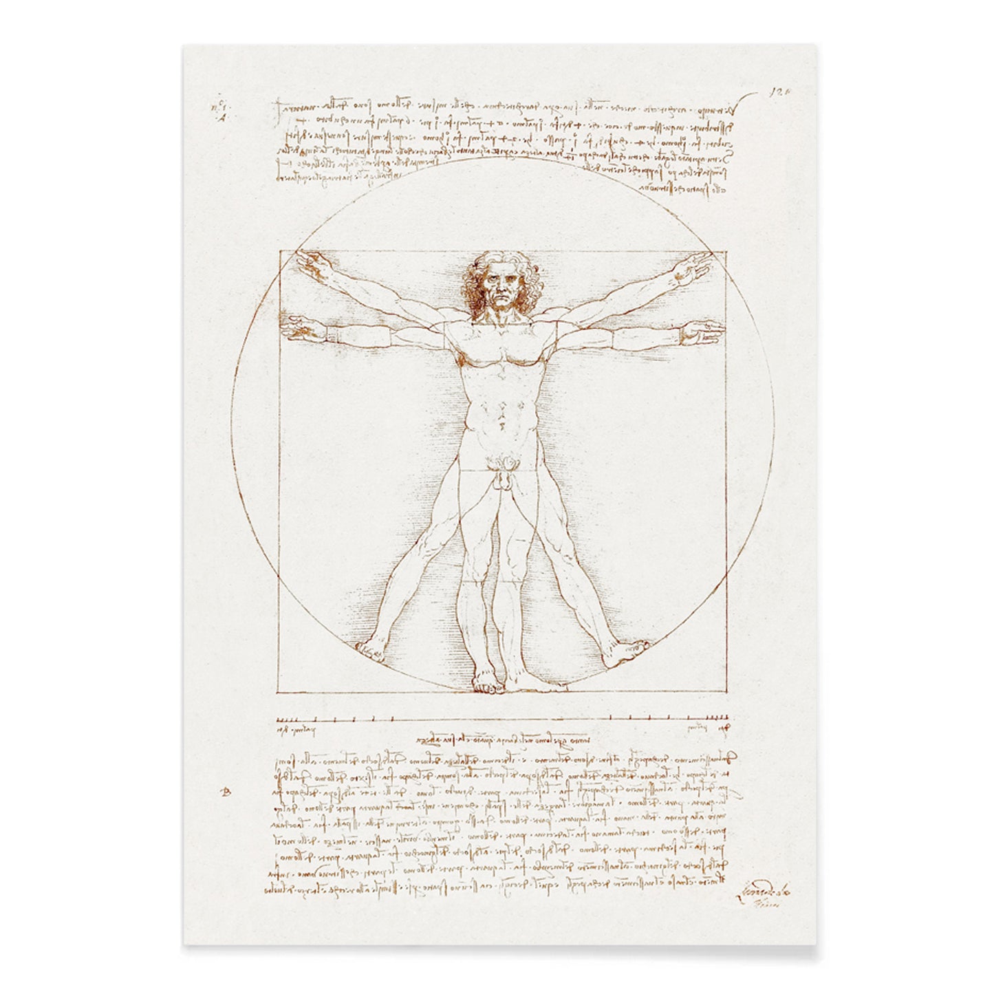 Vitruvian Man by Leonardo da Vinci human figure anatomical study with outstretched arms and legs inside circle and square geometric shapes artwork poster, with black aluminium frame on white background