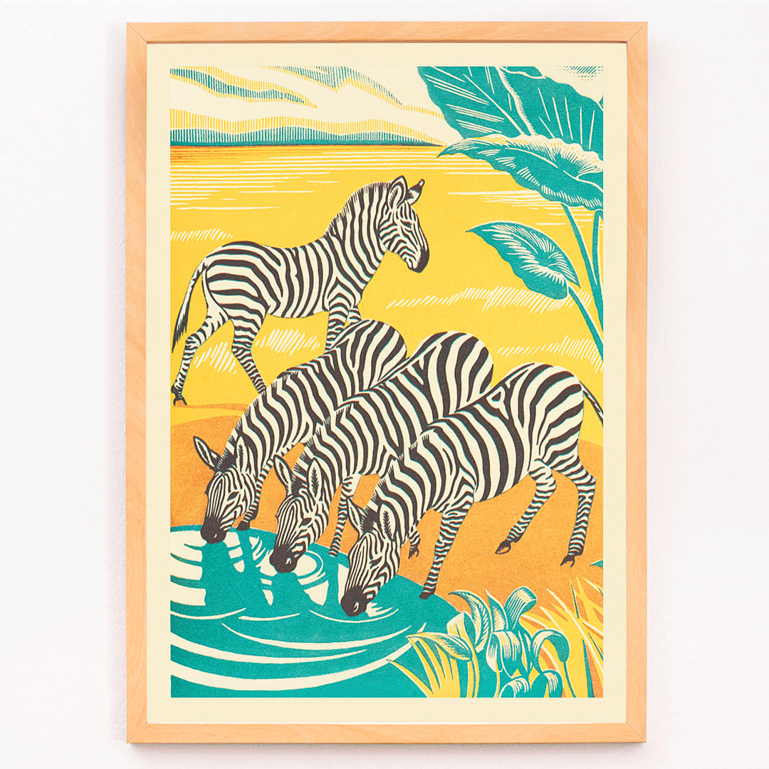 Zebras drinking at a waterhole in vibrant jungle scenery illustration by Clifford Webb from A Jungle Picnic Pl 25 Zebra poster, framed and displayed in modern living room decor